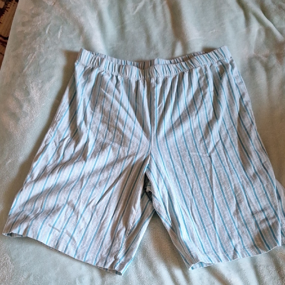 Blue Striped Shorts